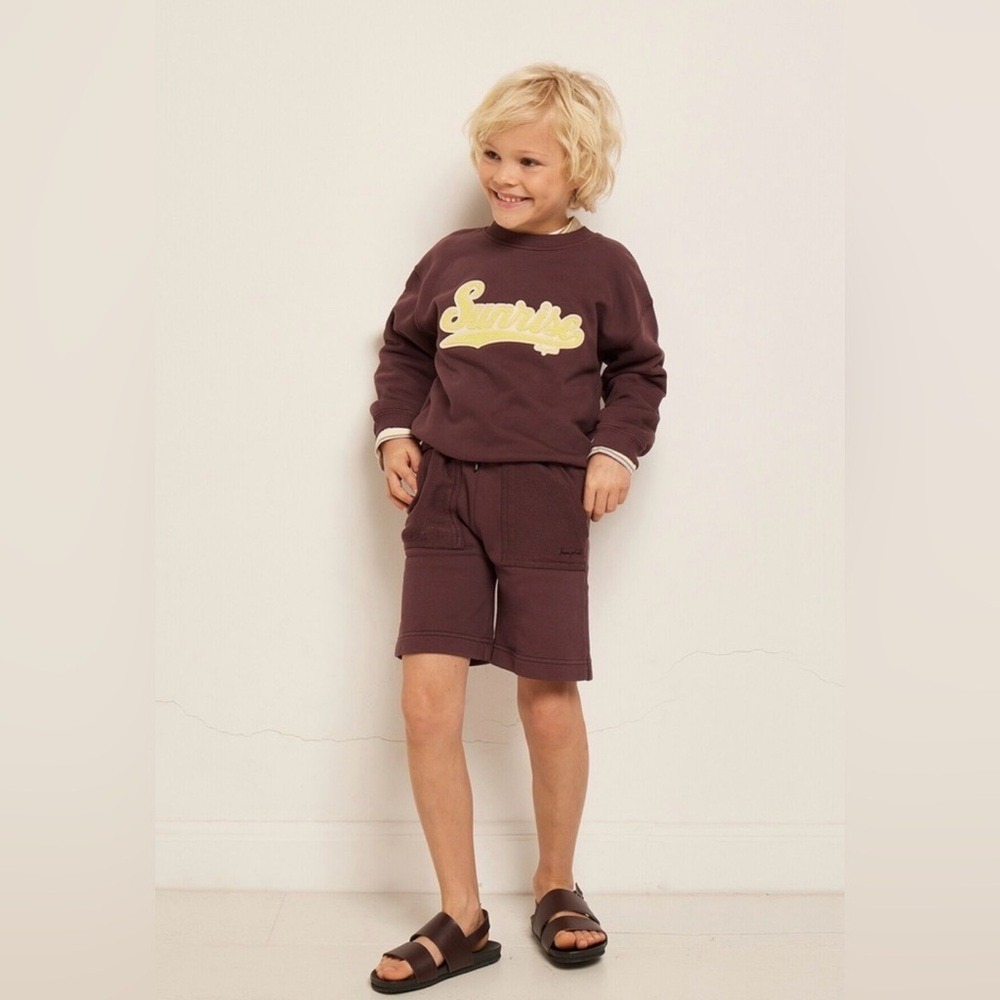 Bonpoint Checked Bermuda shorts Kids Boys 12 Fig Dark Purple 100% Cotton pockets